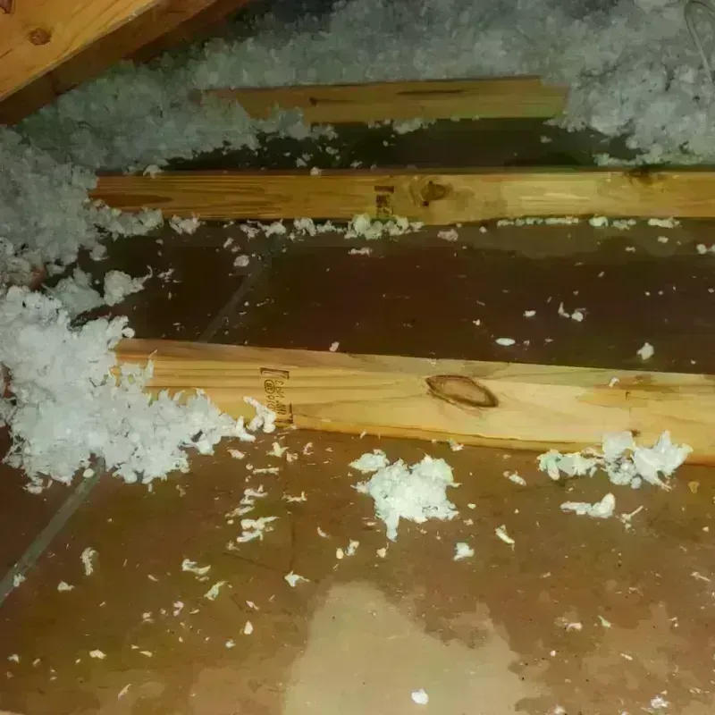 Attic Water Damage in Monroe County, MS