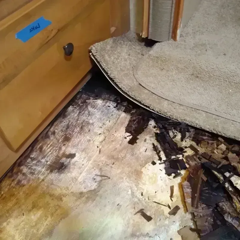 Wood Floor Water Damage in Monroe County, MS